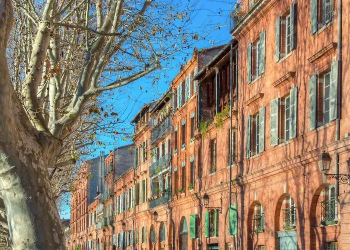 Ombre Bleue Apartamento Toulouse